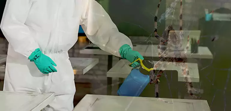 Why Buyers Still Want Homes With Pest Infestations in North Platte, NE?