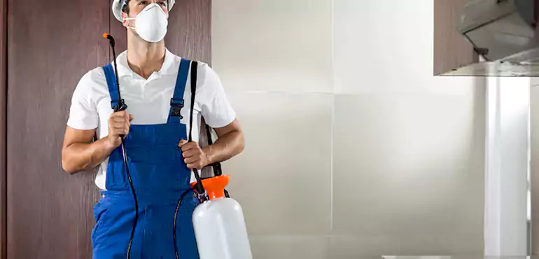 Why North Platte Homeowners Choose Us When Pests Make Selling Difficult