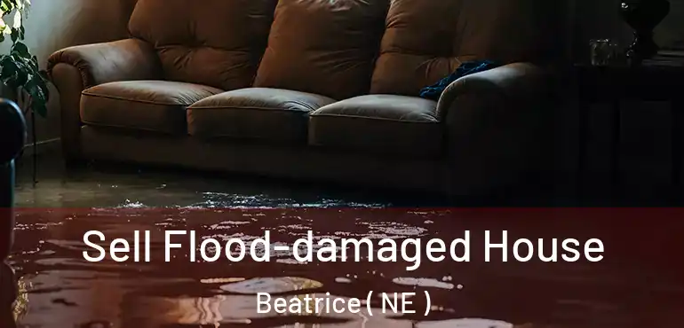  Sell Flood-damaged House Beatrice ( NE )