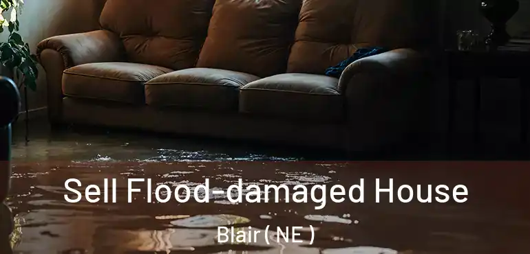  Sell Flood-damaged House Blair ( NE )