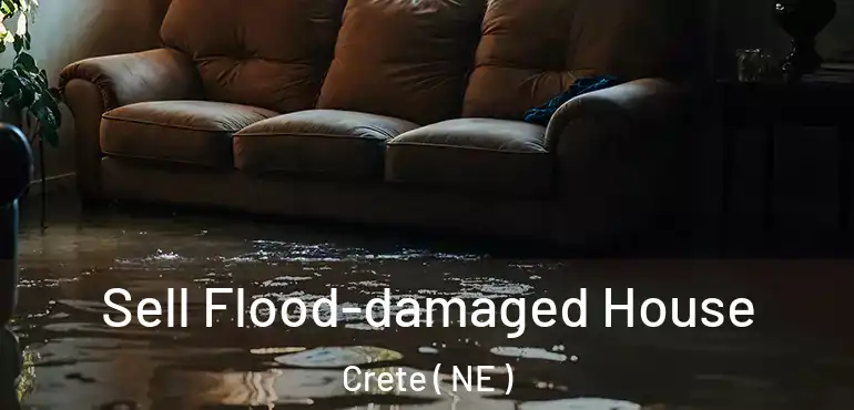  Sell Flood-damaged House Crete ( NE )