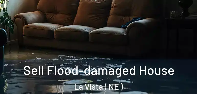  Sell Flood-damaged House La Vista ( NE )