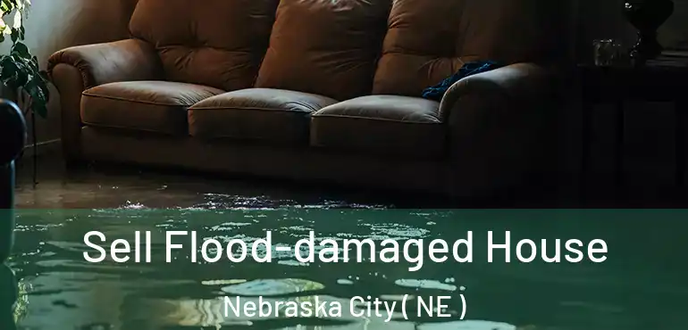  Sell Flood-damaged House Nebraska City ( NE )