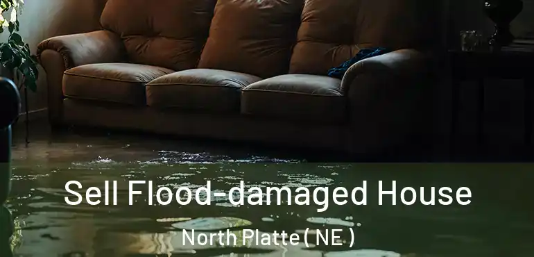  Sell Flood-damaged House North Platte ( NE )