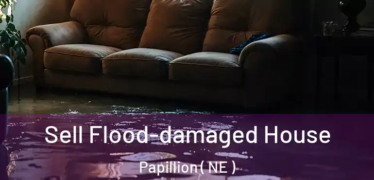  Sell Flood-damaged House Papillion ( NE )