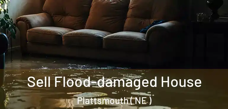  Sell Flood-damaged House Plattsmouth ( NE )