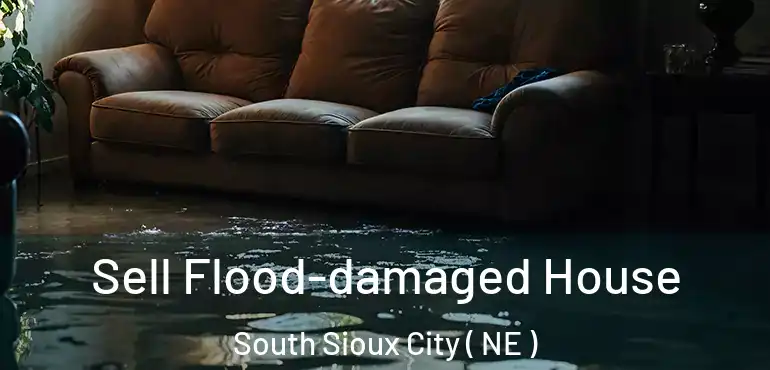  Sell Flood-damaged House South Sioux City ( NE )