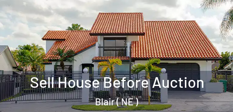  Sell House Before Auction Blair ( NE )