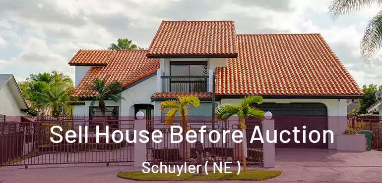  Sell House Before Auction Schuyler ( NE )