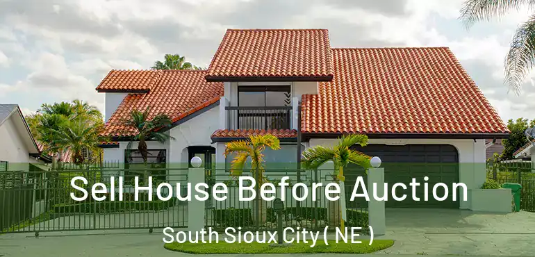  Sell House Before Auction South Sioux City ( NE )