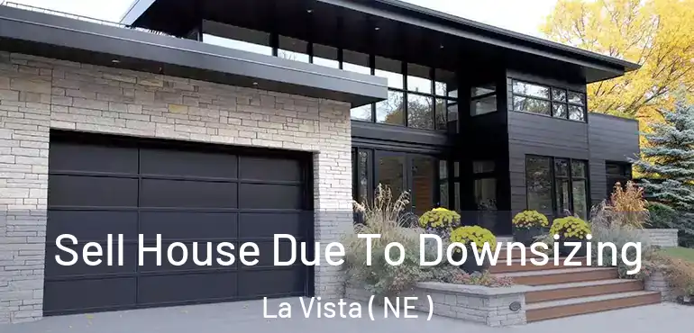  Sell House Due To Downsizing La Vista ( NE )