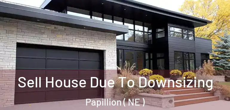  Sell House Due To Downsizing Papillion ( NE )