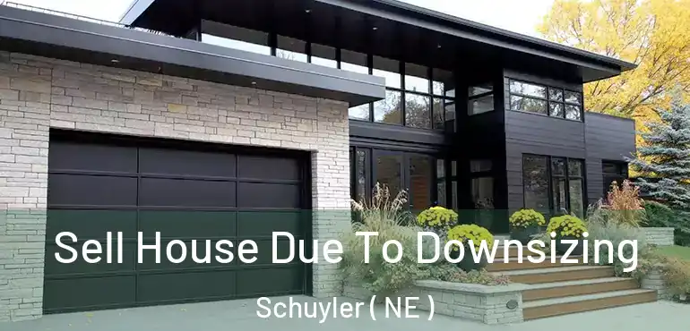  Sell House Due To Downsizing Schuyler ( NE )