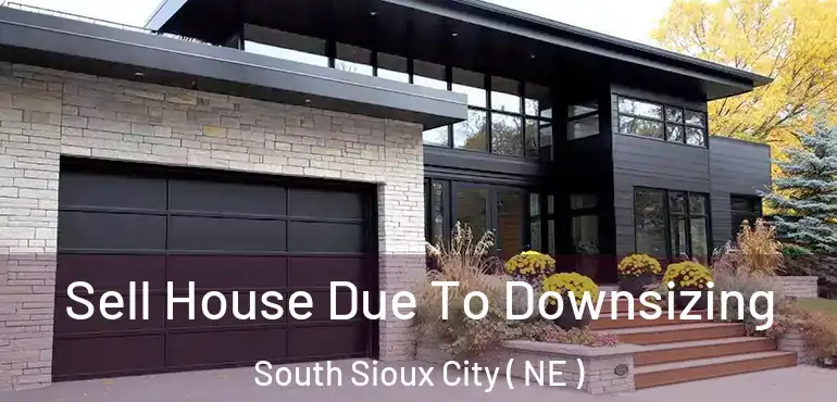  Sell House Due To Downsizing South Sioux City ( NE )