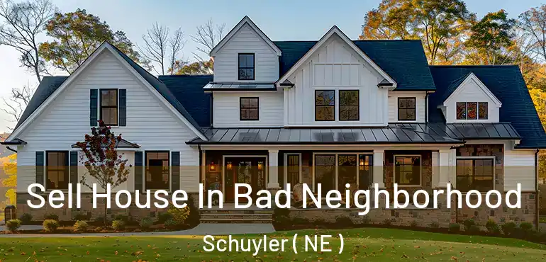  Sell House In Bad Neighborhood Schuyler ( NE )