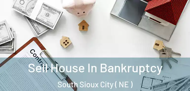  Sell House In Bankruptcy South Sioux City ( NE )