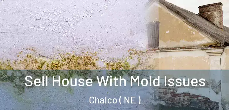  Sell House With Mold Issues Chalco ( NE )