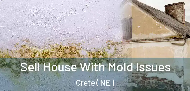  Sell House With Mold Issues Crete ( NE )