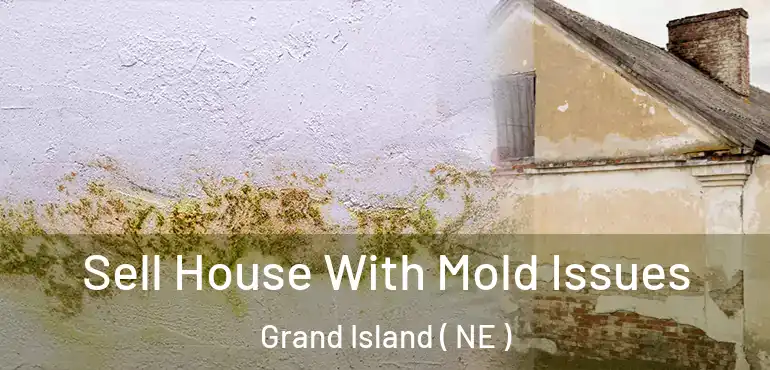  Sell House With Mold Issues Grand Island ( NE )
