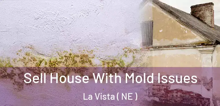  Sell House With Mold Issues La Vista ( NE )