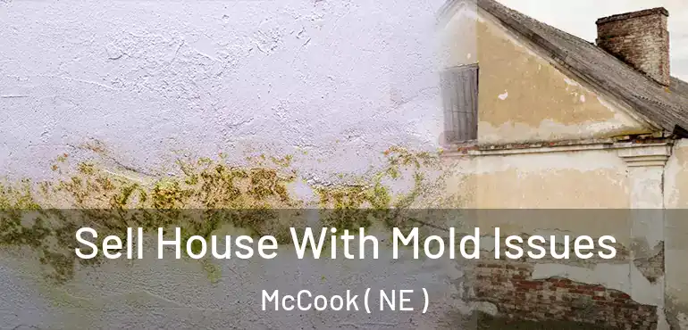  Sell House With Mold Issues McCook ( NE )