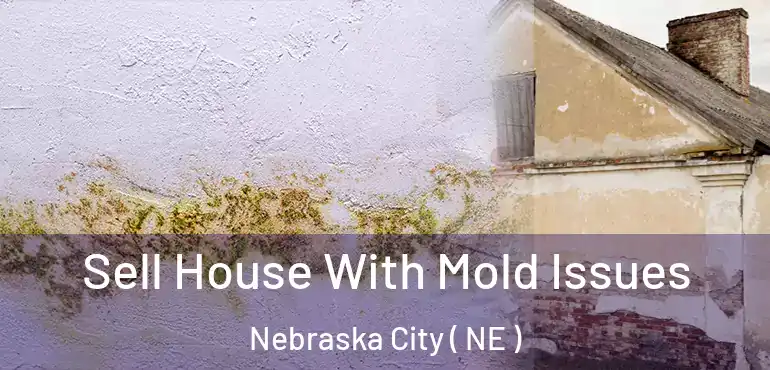  Sell House With Mold Issues Nebraska City ( NE )