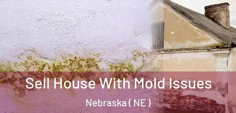  Sell House With Mold Issues Nebraska ( NE )