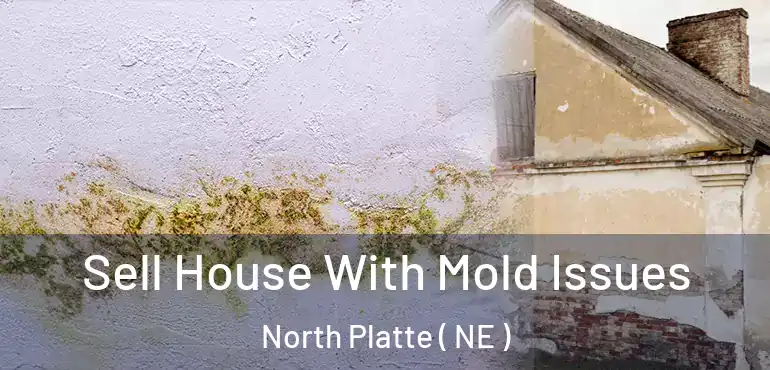  Sell House With Mold Issues North Platte ( NE )