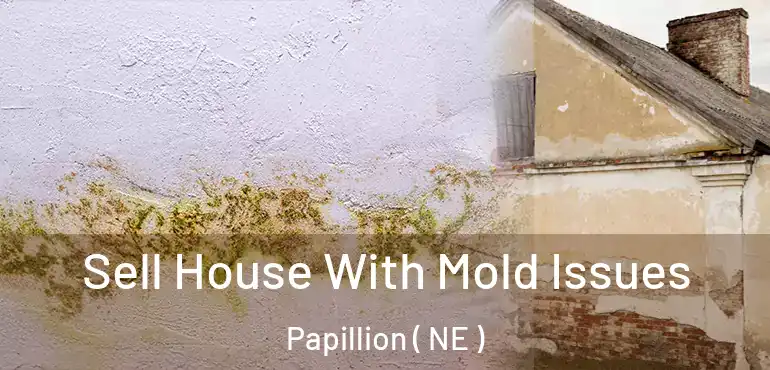  Sell House With Mold Issues Papillion ( NE )