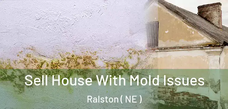  Sell House With Mold Issues Ralston ( NE )