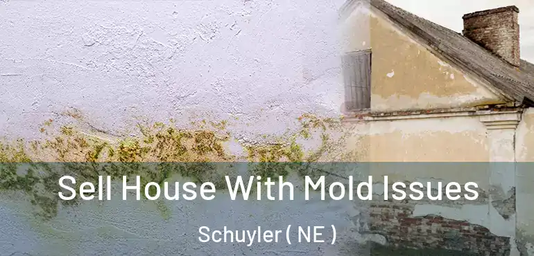  Sell House With Mold Issues Schuyler ( NE )