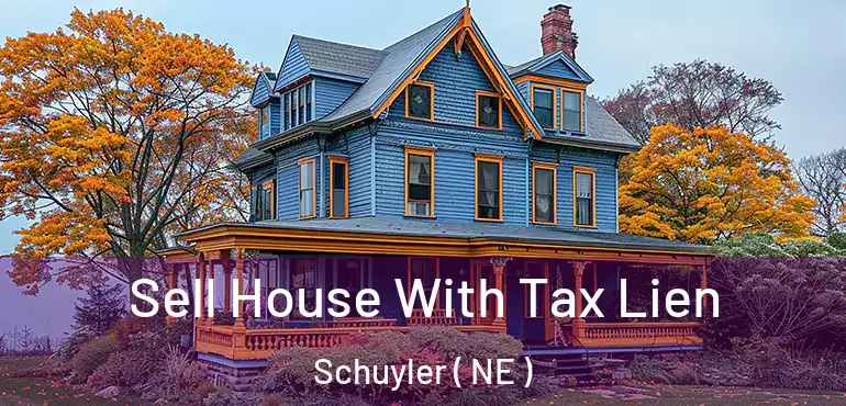  Sell House With Tax Lien Schuyler ( NE )