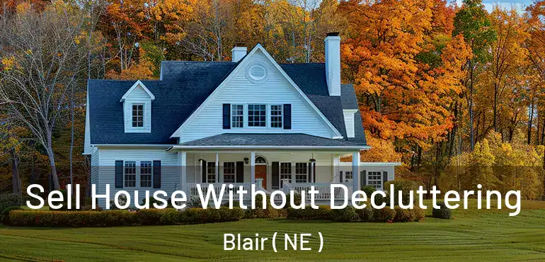  Sell House Without Decluttering Blair ( NE )