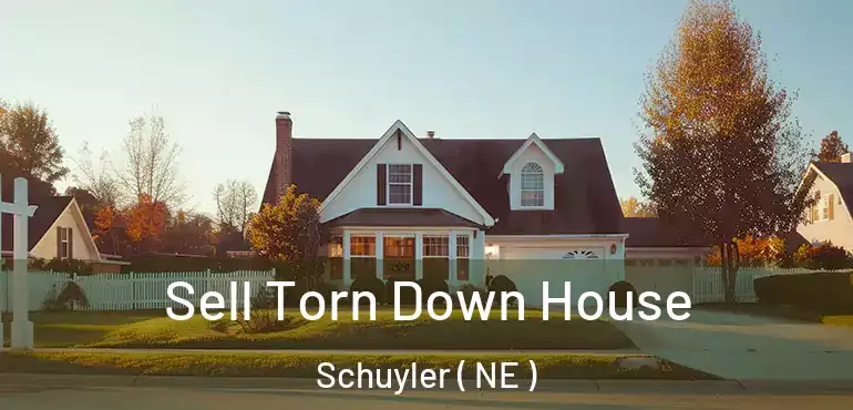  Sell Torn Down House Schuyler ( NE )