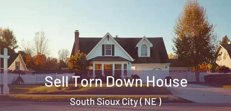  Sell Torn Down House South Sioux City ( NE )